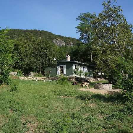 Badacsony Vendeghaz Villa Badacsonytördemic Rum bild