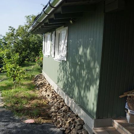 Badacsony Vendeghaz Villa Badacsonytördemic Rum bild