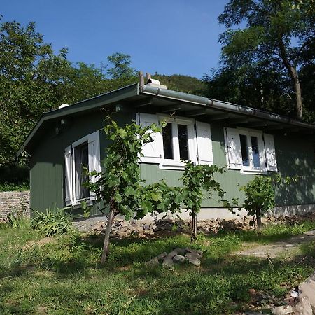 Badacsony Vendeghaz Villa Badacsonytördemic Rum bild