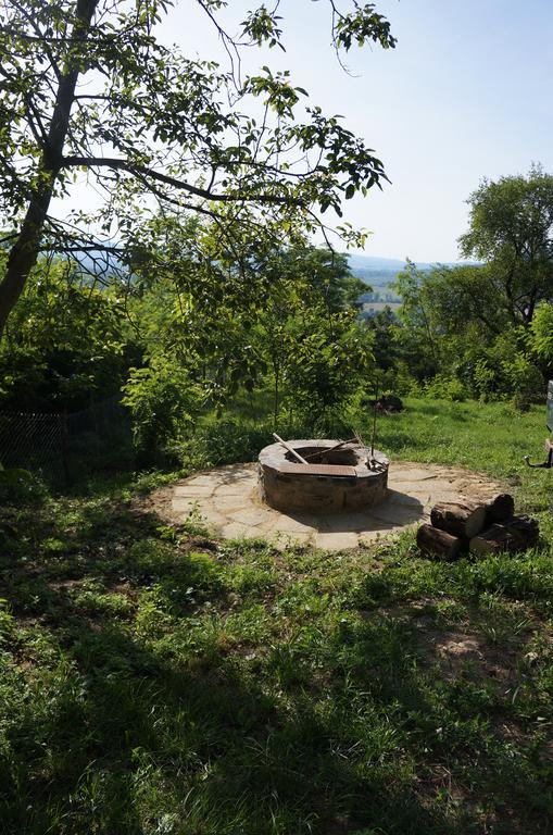Badacsony Vendeghaz Villa Badacsonytördemic Rum bild