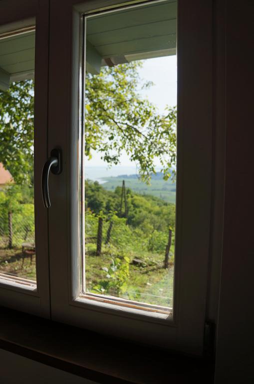 Badacsony Vendeghaz Villa Badacsonytördemic Rum bild