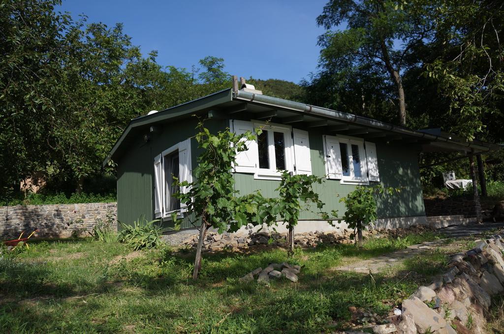 Badacsony Vendeghaz Villa Badacsonytördemic Rum bild